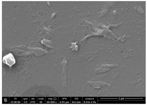 Polymers 14 05211 i003