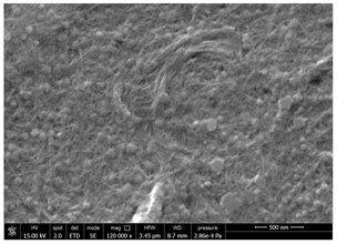 Polymers 14 05211 i005