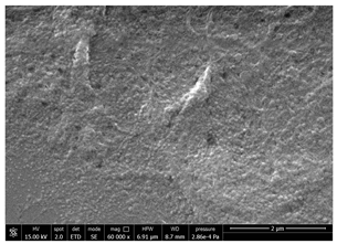 Polymers 14 05211 i007