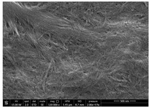 Polymers 14 05211 i008