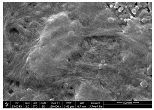 Polymers 14 05211 i010