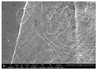 Polymers 14 05211 i013