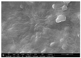 Polymers 14 05211 i017