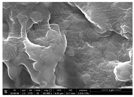 Polymers 14 05211 i018