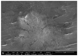 Polymers 14 05211 i019