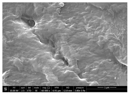 Polymers 14 05211 i020
