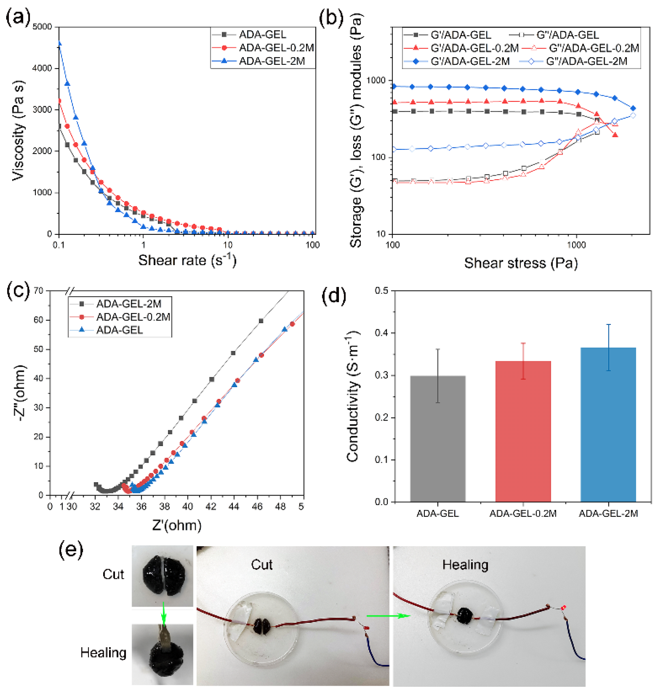 Polymers 14 05212 g001