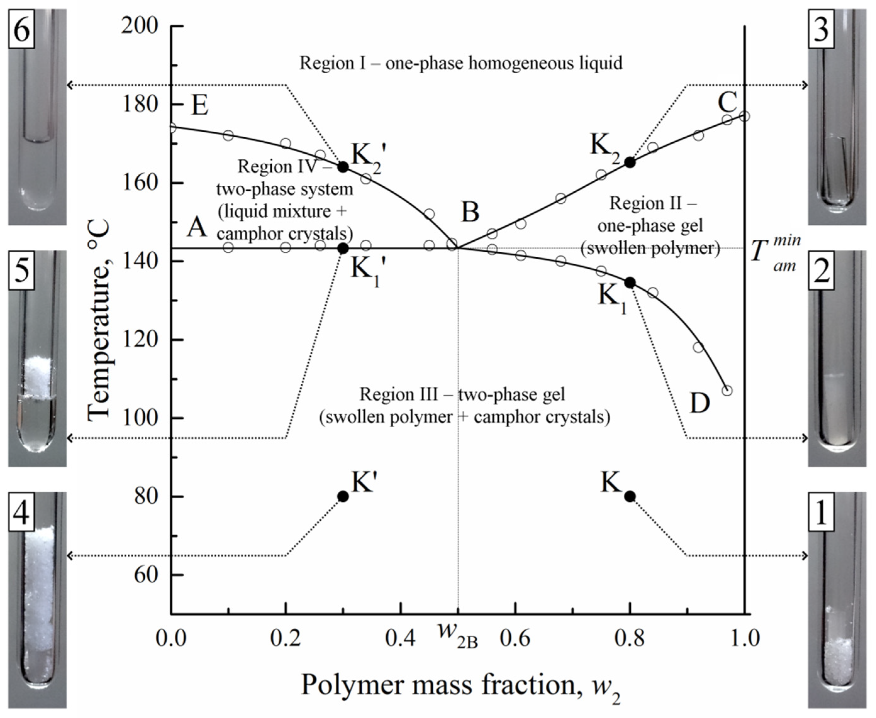 Polymers 14 05214 g002