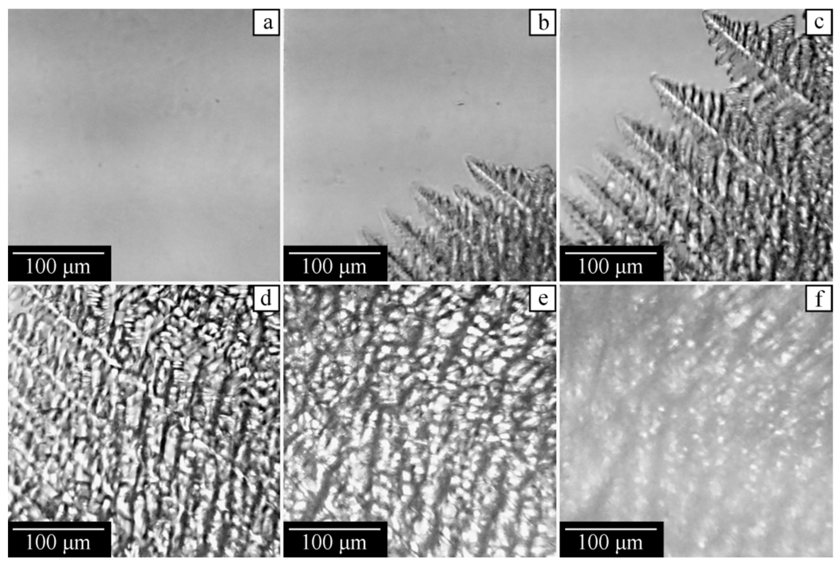 Polymers 14 05214 g010