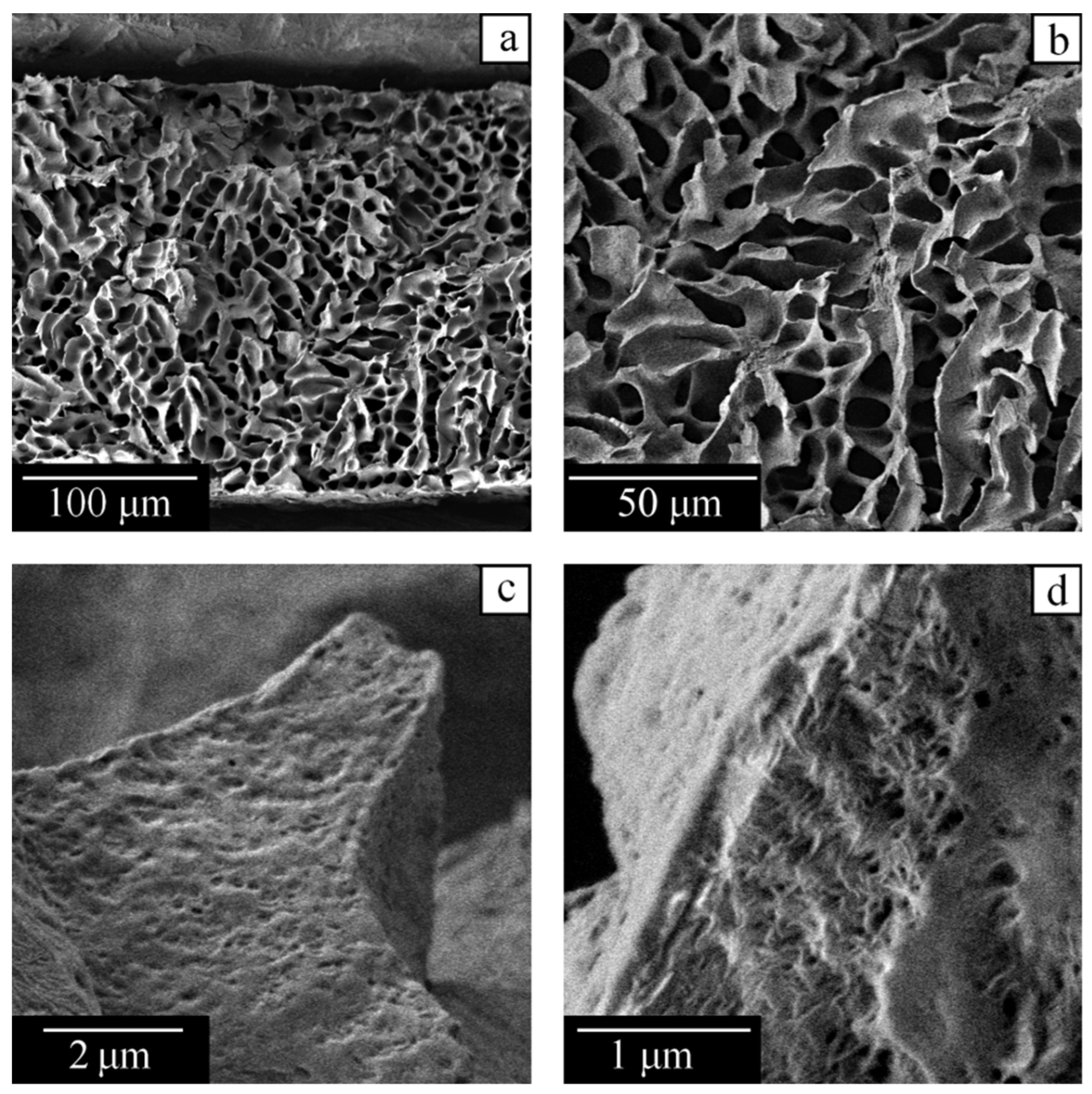 Polymers 14 05214 g012