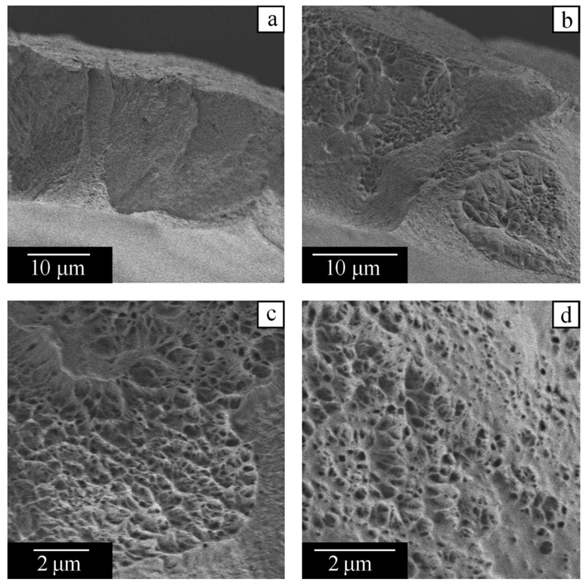 Polymers 14 05214 g014