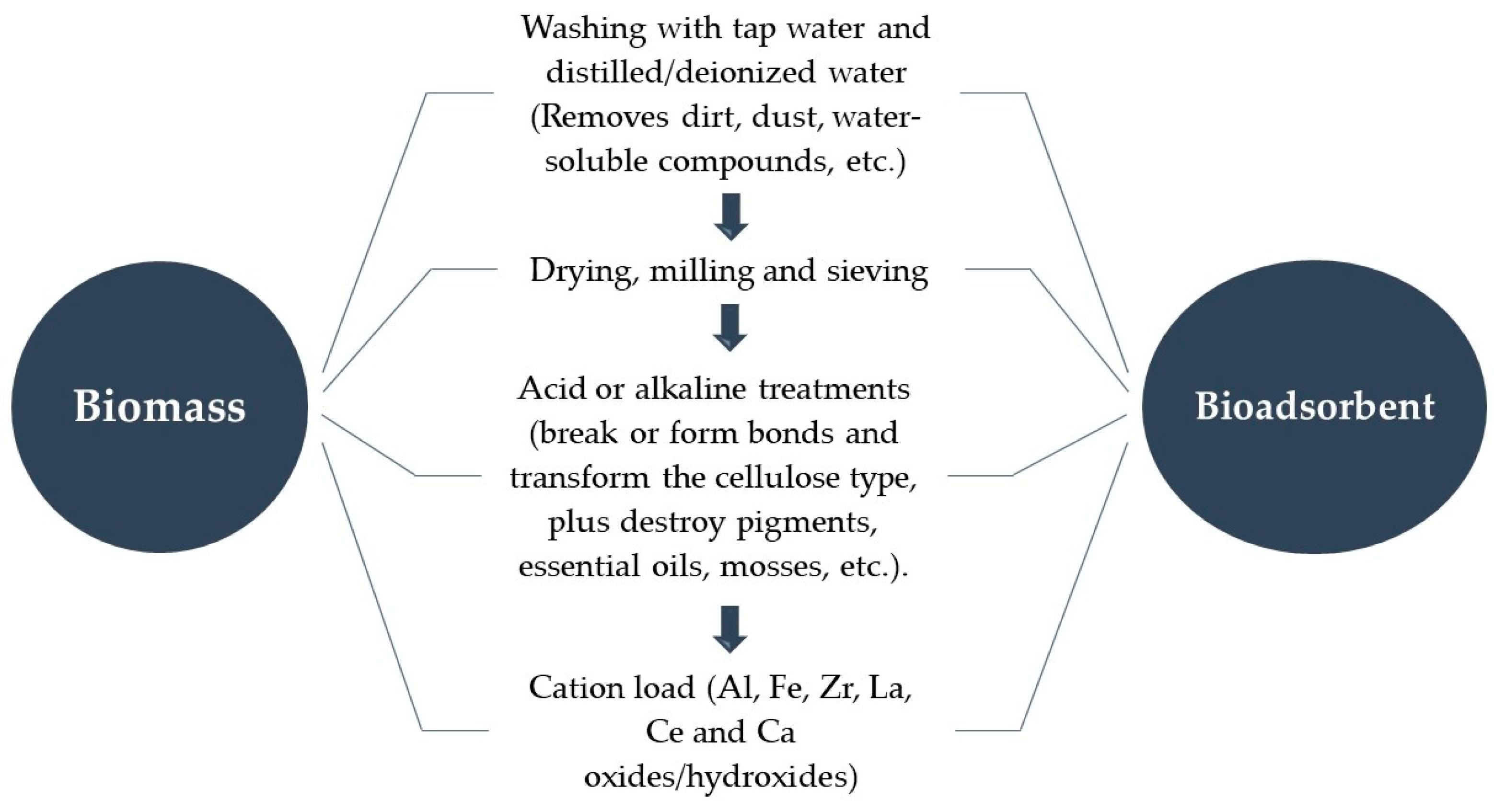 Polymers 14 05219 g001