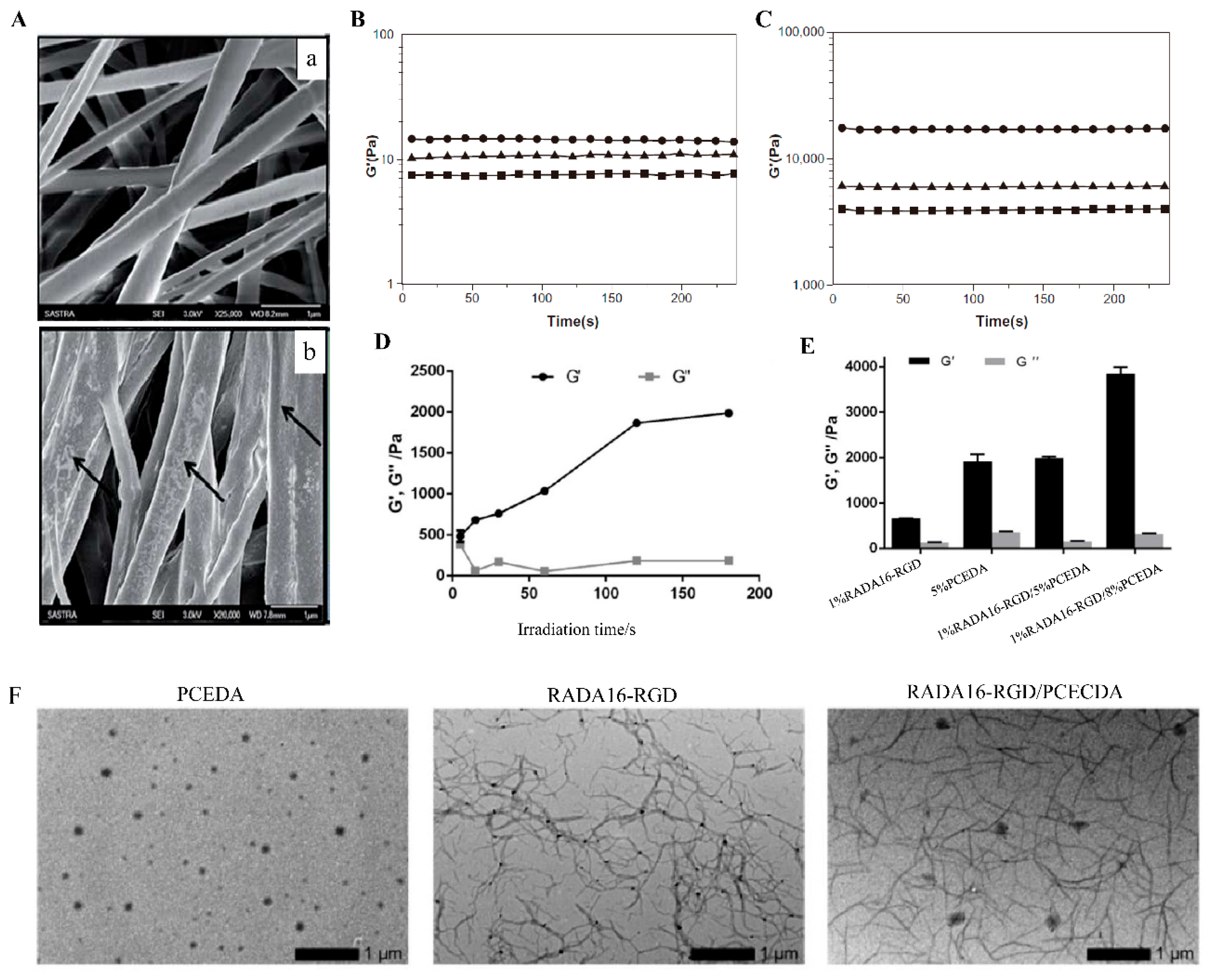 Polymers 14 05221 g006 Polymers 14 05221 g006