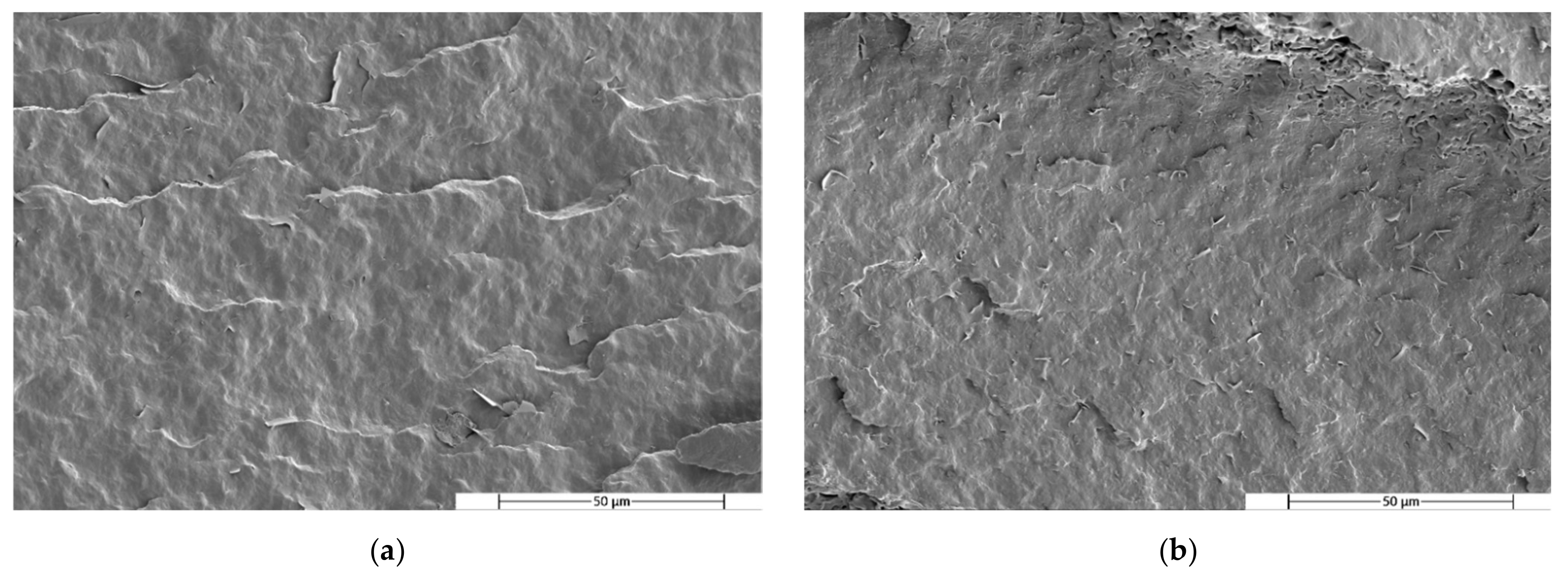 Polymers 14 05223 g008