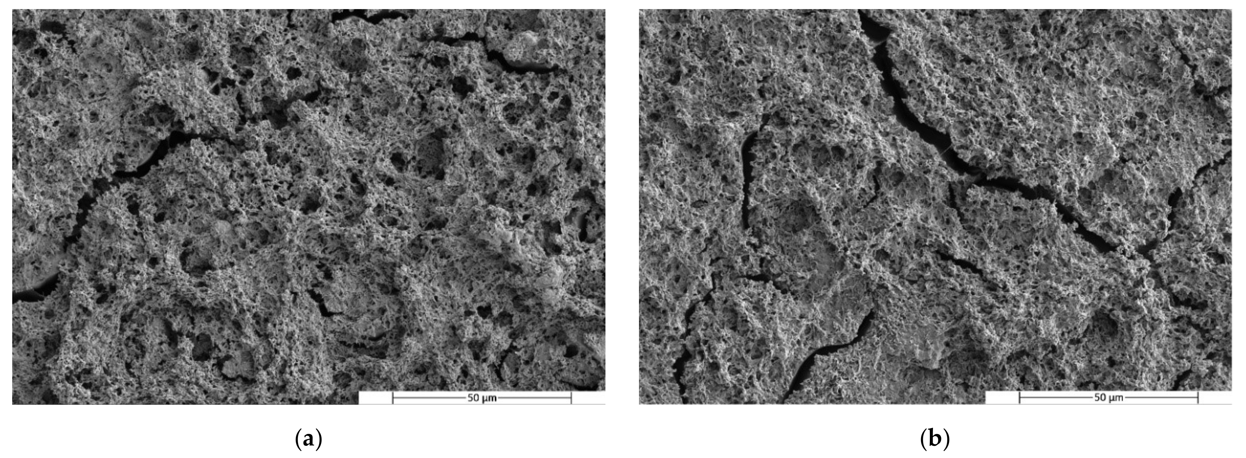 Polymers 14 05223 g009