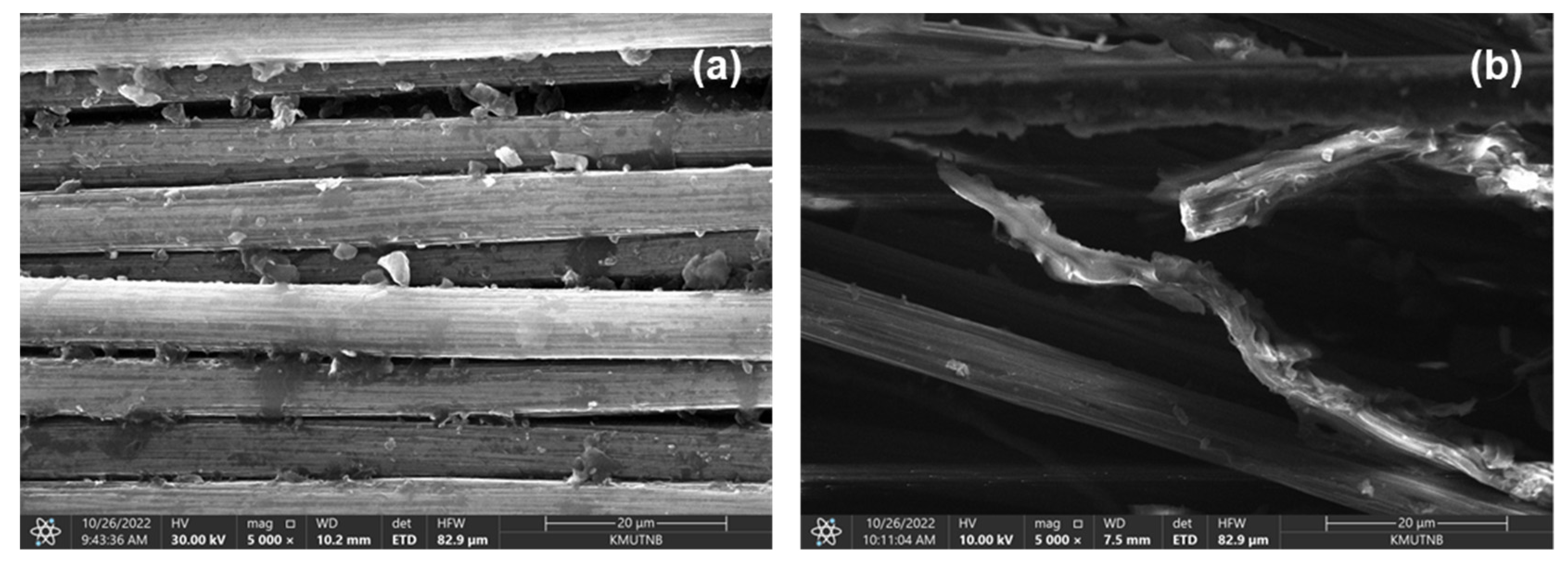 Polymers 14 05226 g010 Polymers 14 05226 g010