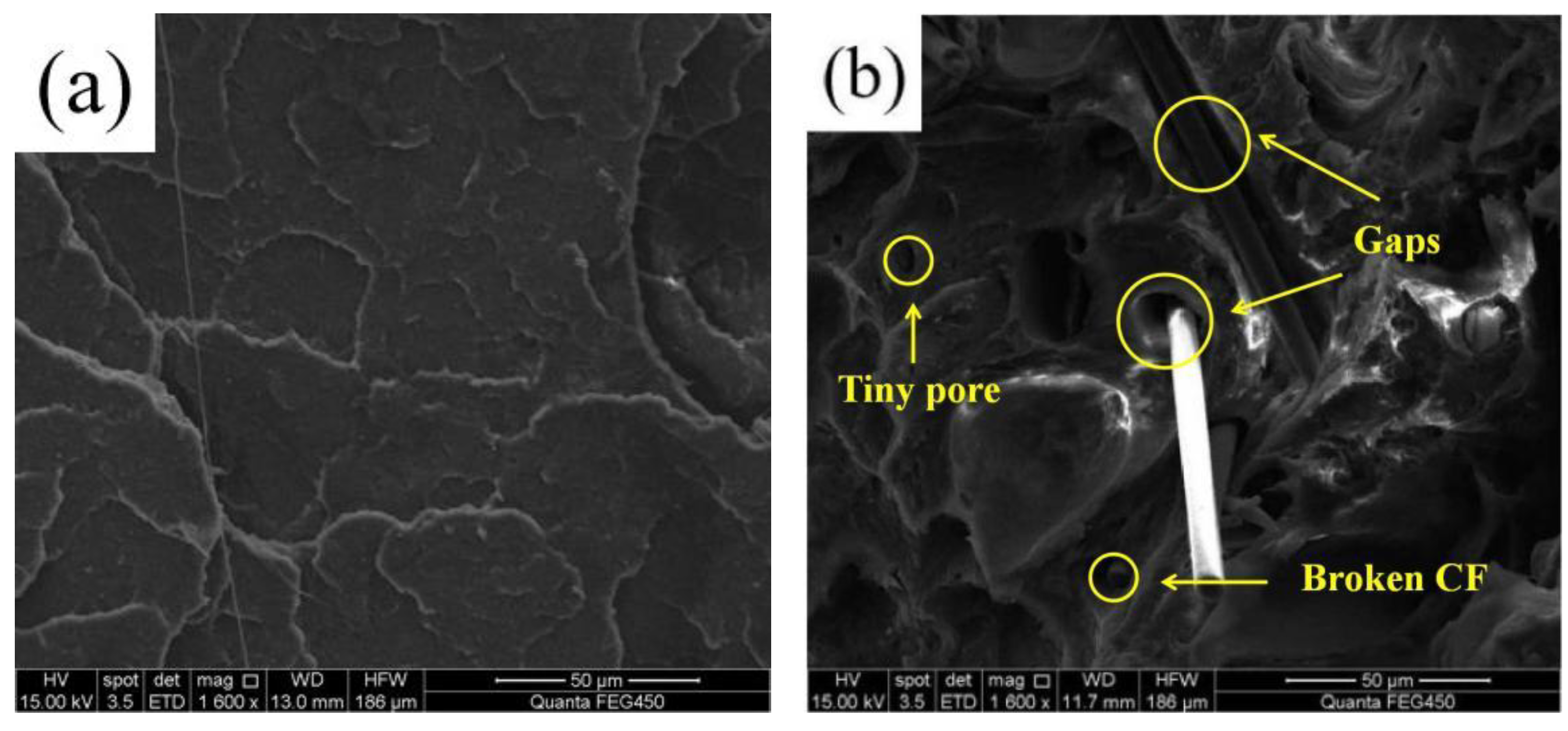 Polymers 14 05230 g009 Polymers 14 05230 g009