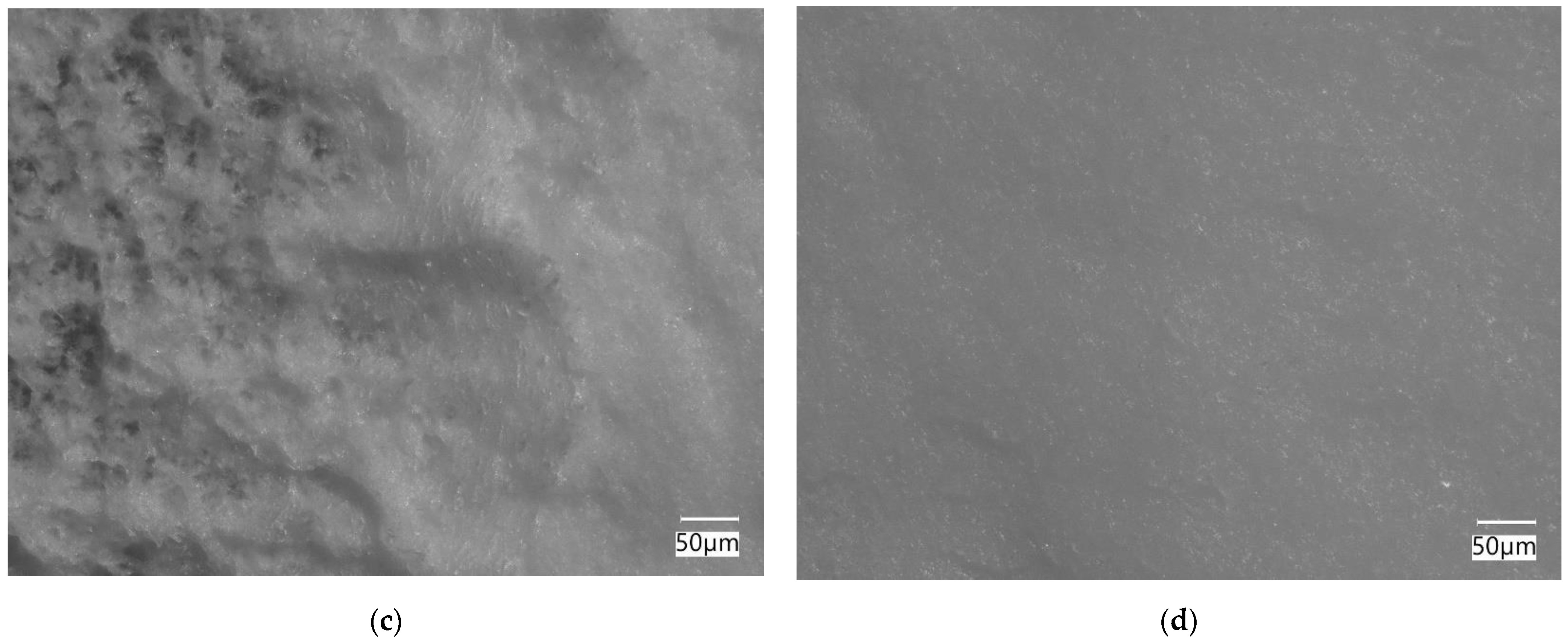 Polymers 14 05232 g012b Polymers 14 05232 g012b