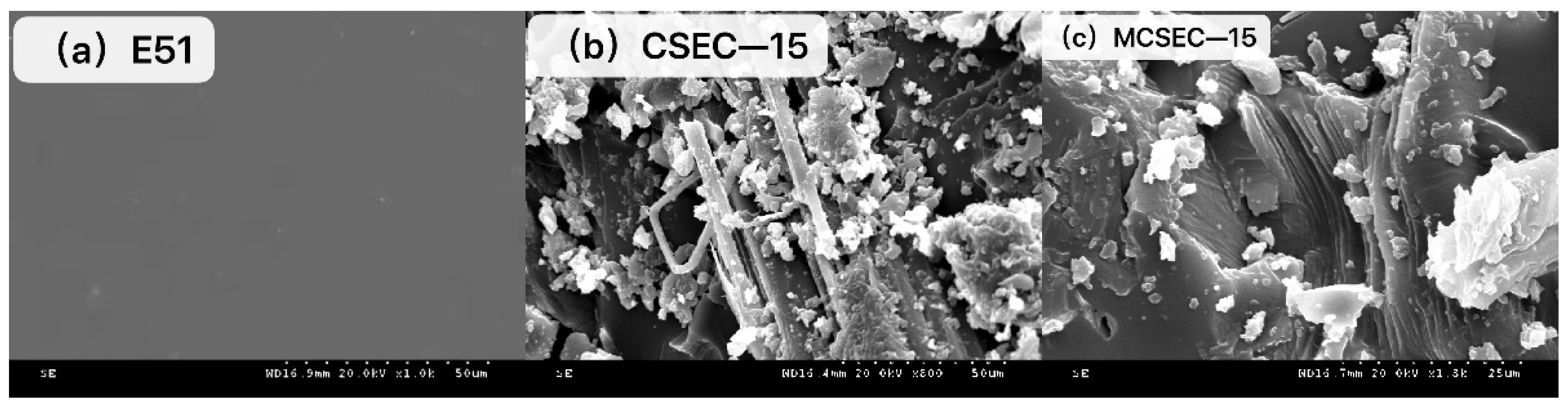 Polymers 14 05233 g002