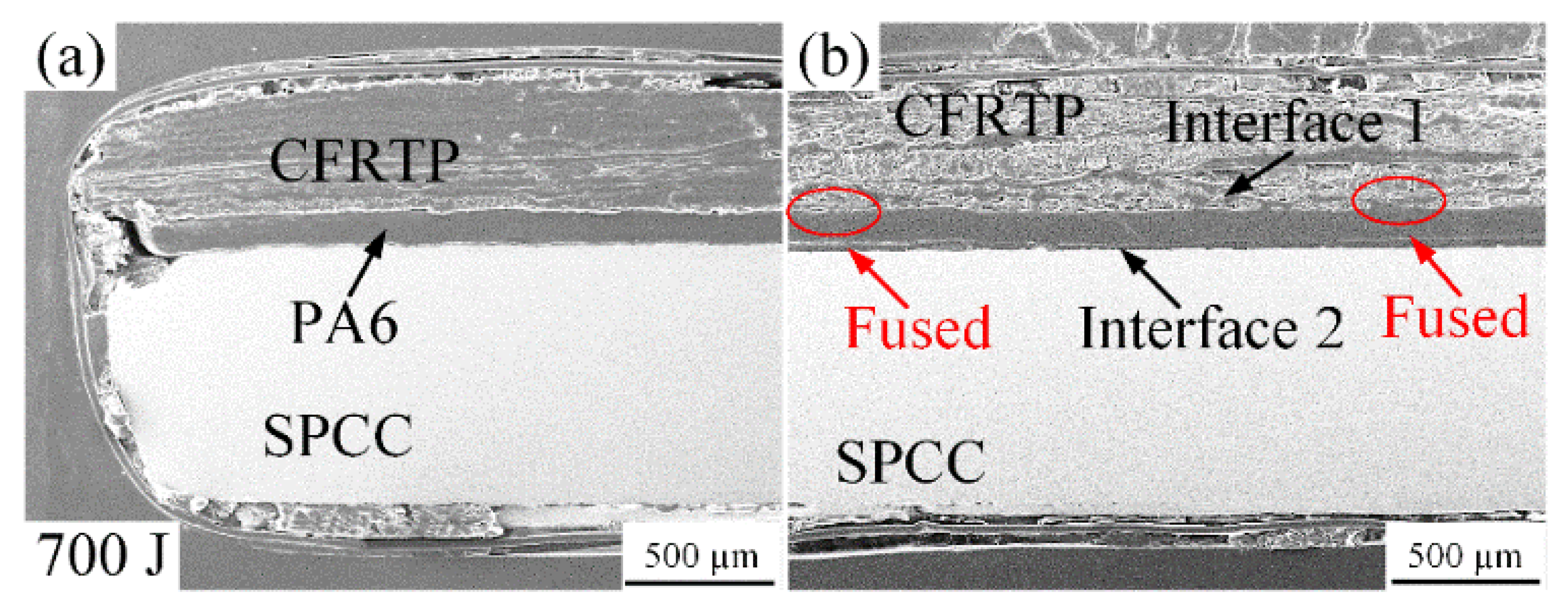 Polymers 14 05235 g008 Polymers 14 05235 g008