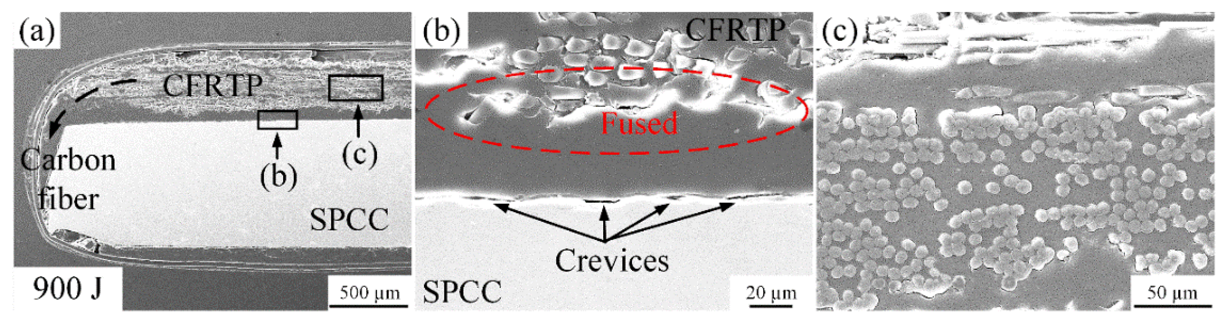 Polymers 14 05235 g009 Polymers 14 05235 g009