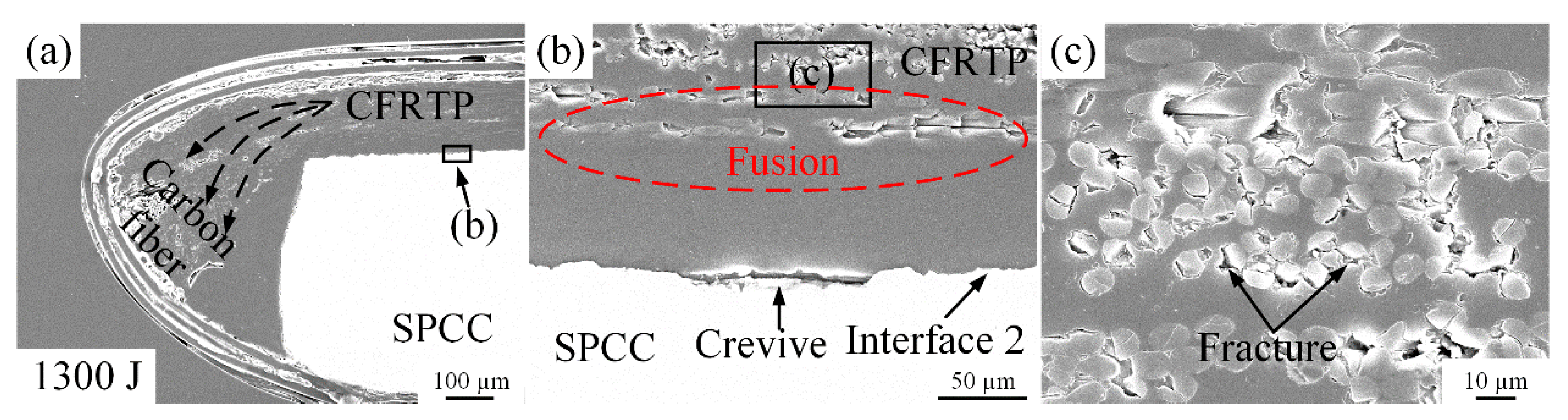 Polymers 14 05235 g011 Polymers 14 05235 g011