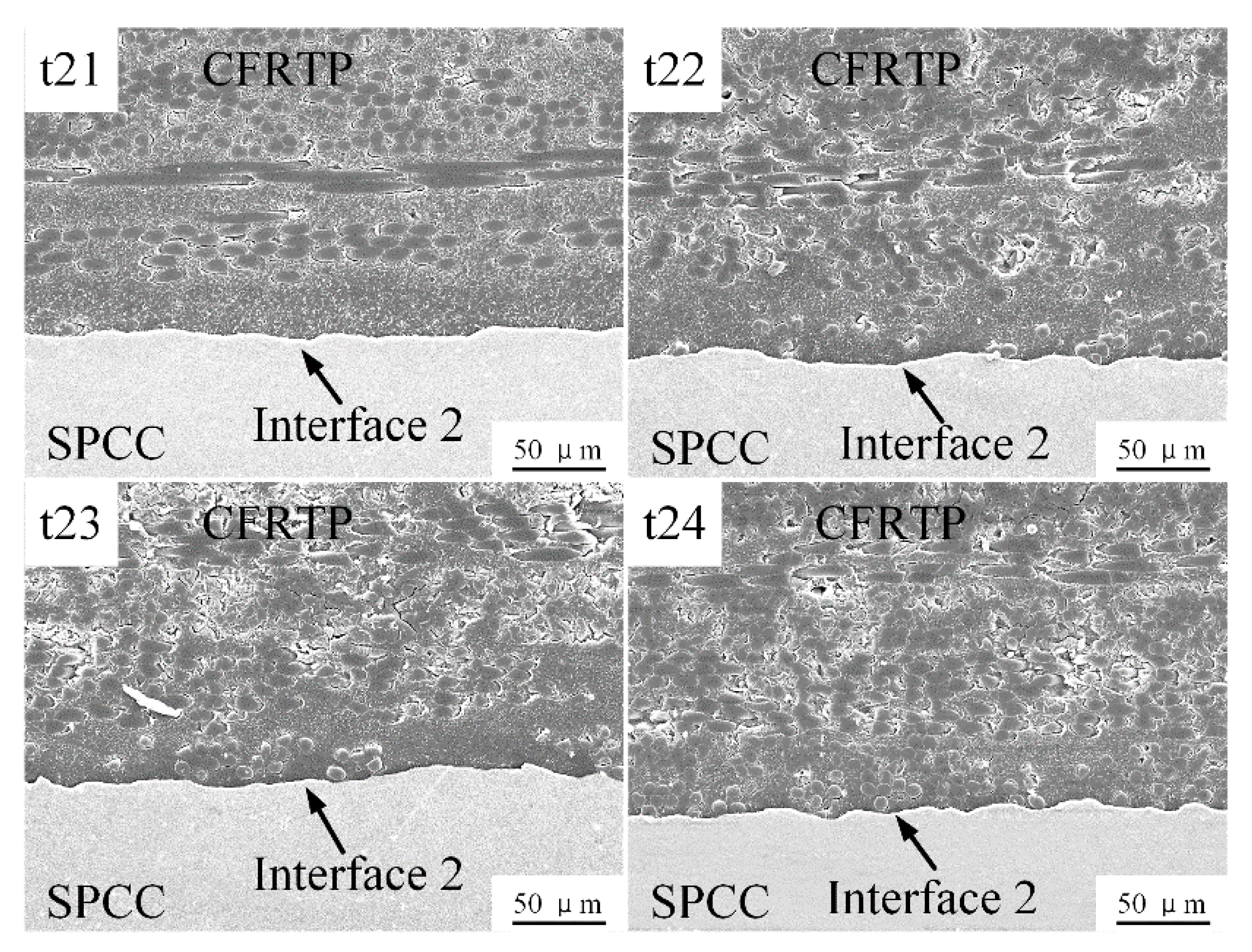 Polymers 14 05235 g021 Polymers 14 05235 g021