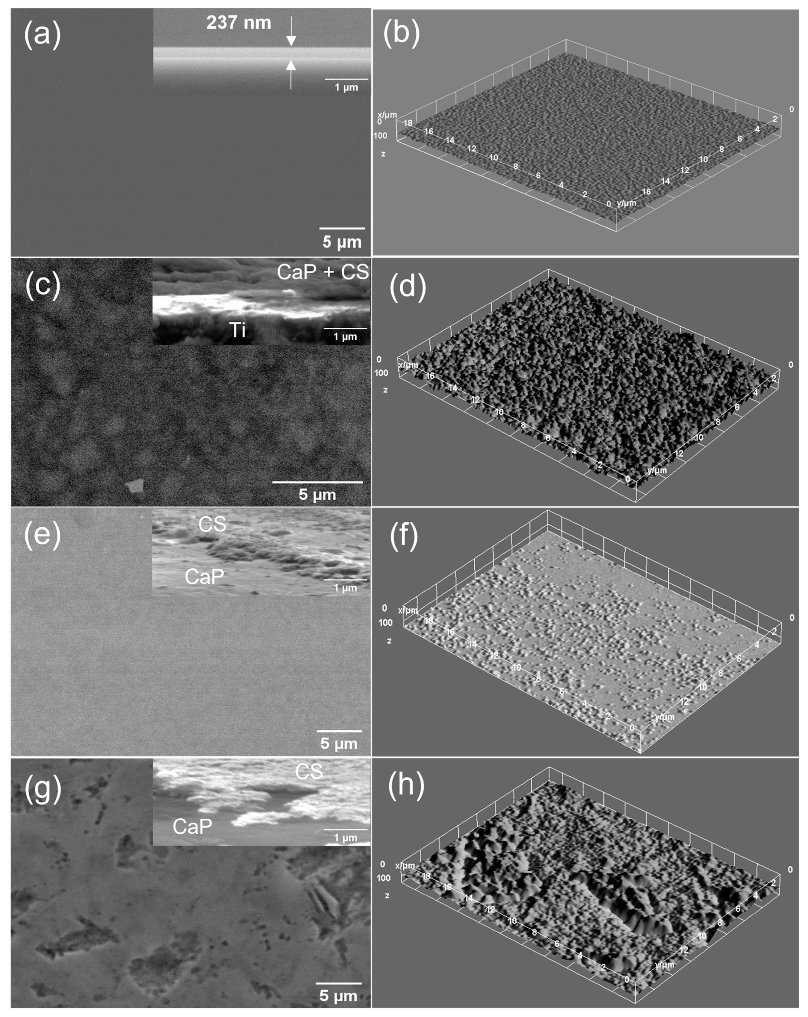 Polymers 14 05241 g015 Polymers 14 05241 g015