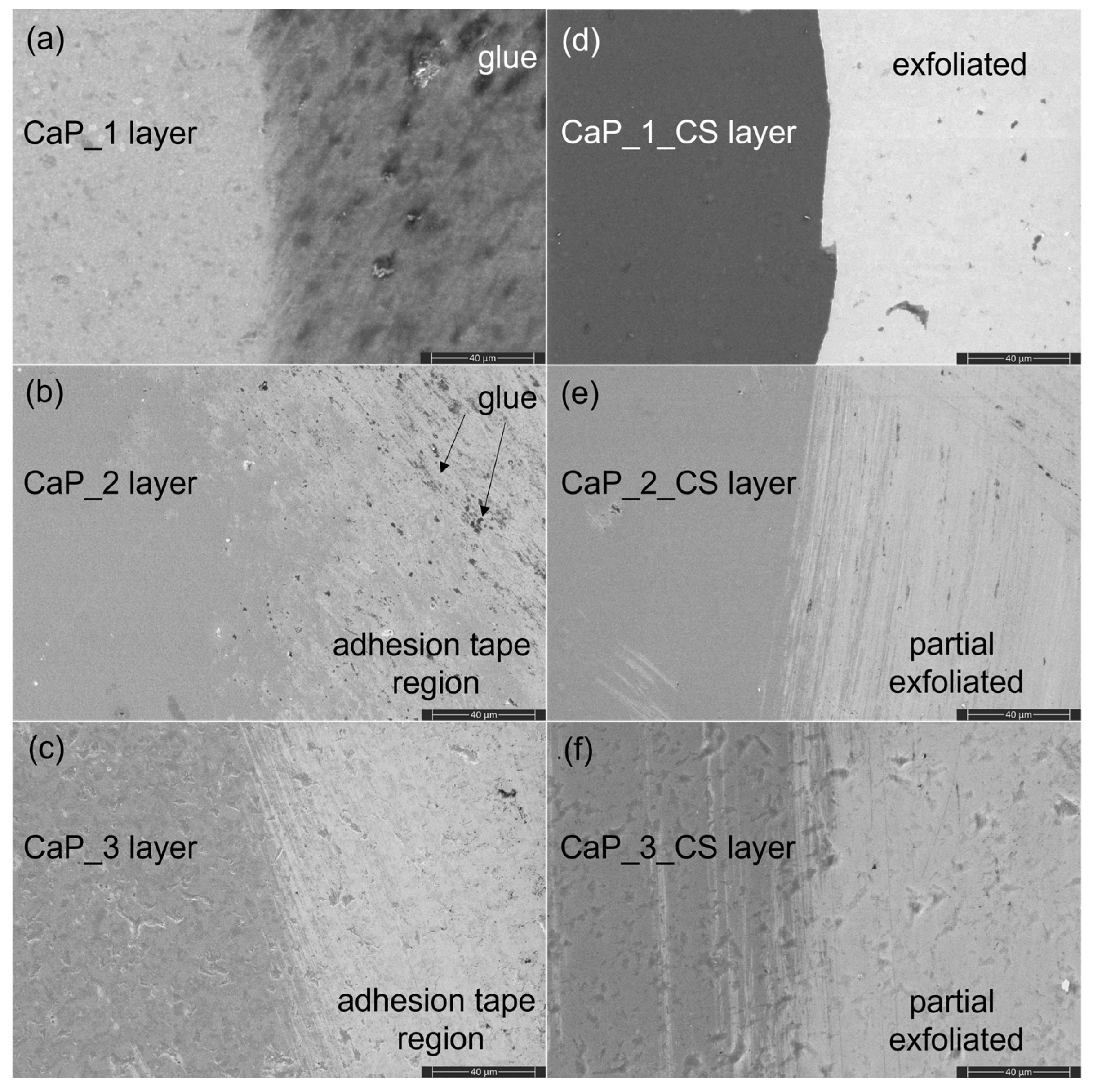 Polymers 14 05241 g018 Polymers 14 05241 g018