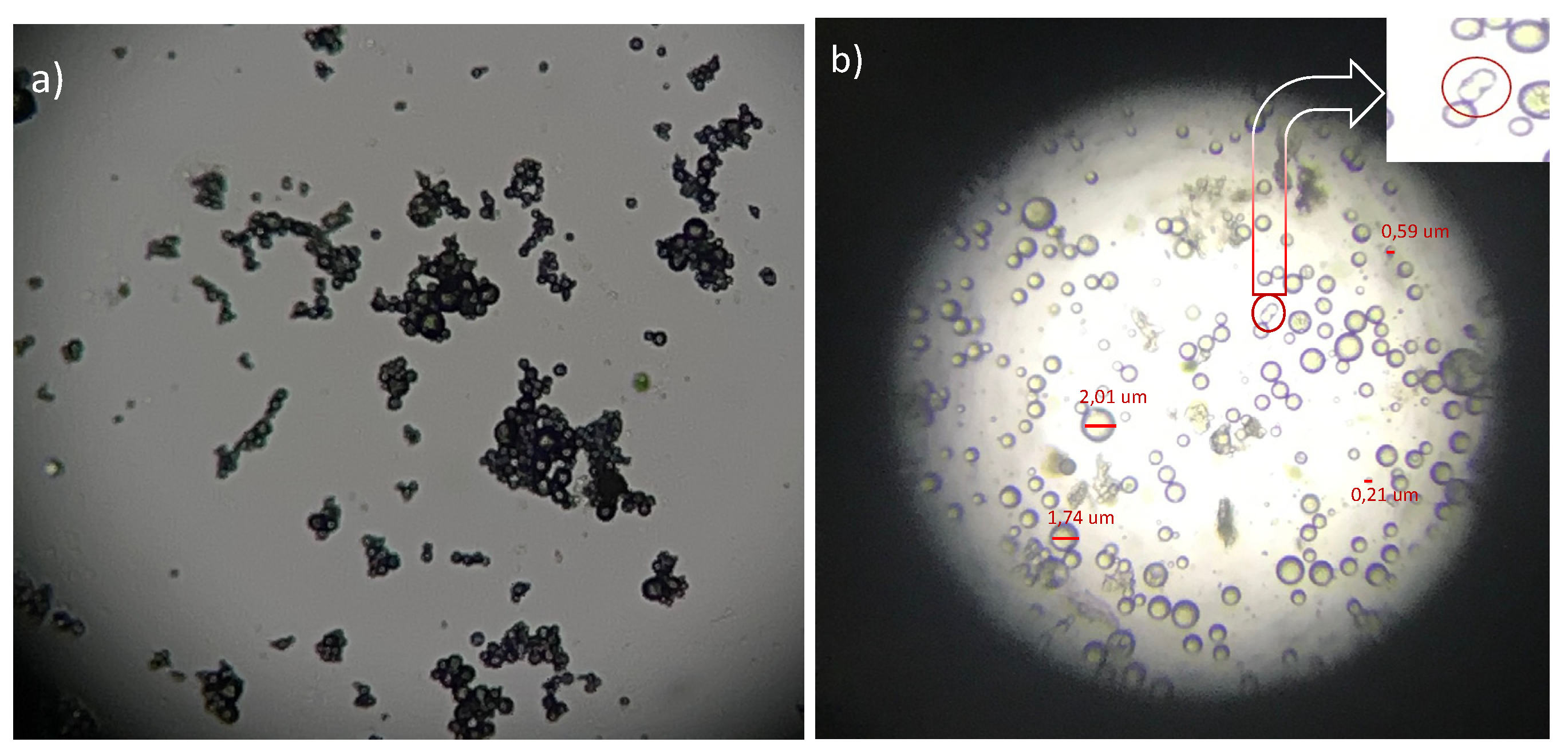 Polymers 14 05242 g002 Polymers 14 05242 g002