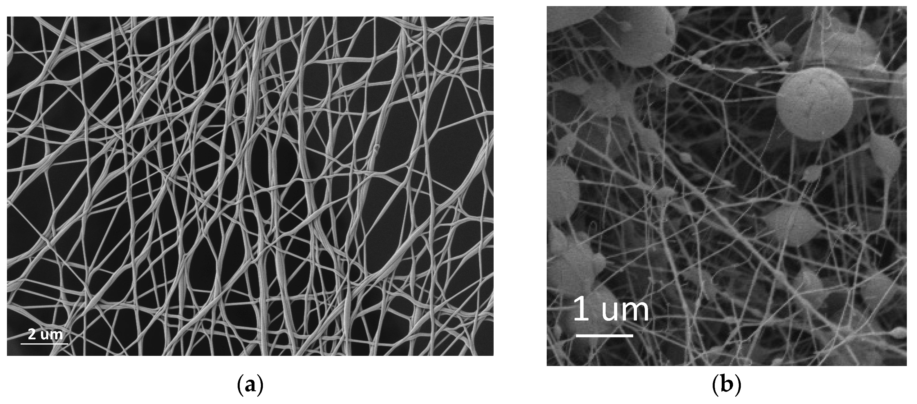 Polymers 14 05242 g004 Polymers 14 05242 g004