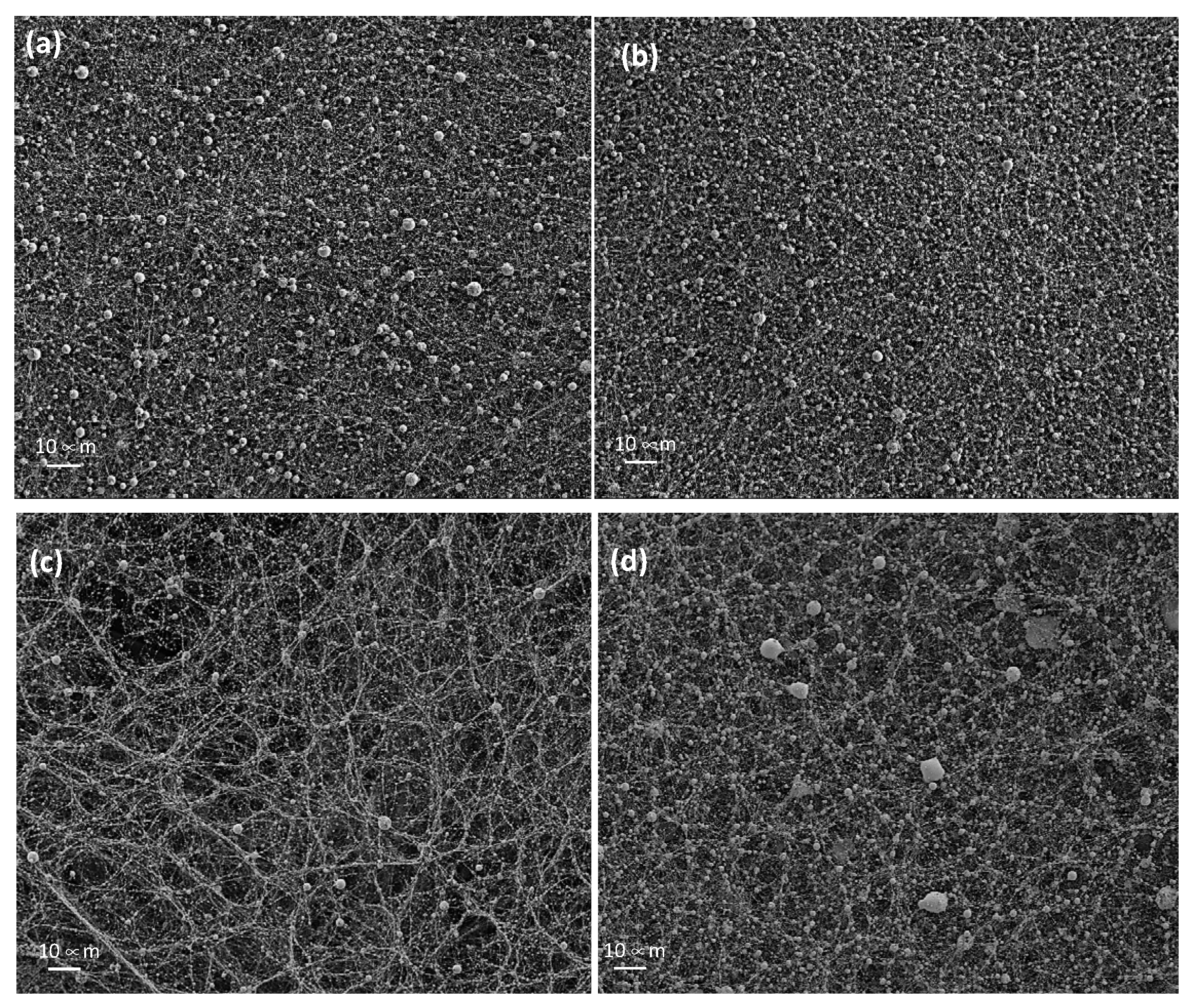 Polymers 14 05242 g005 Polymers 14 05242 g005
