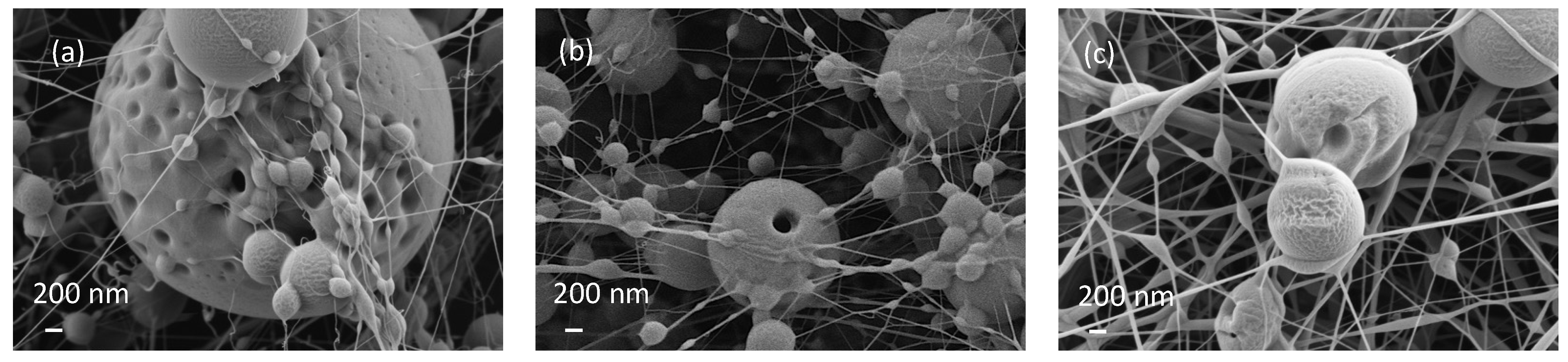 Polymers 14 05242 g007 Polymers 14 05242 g007