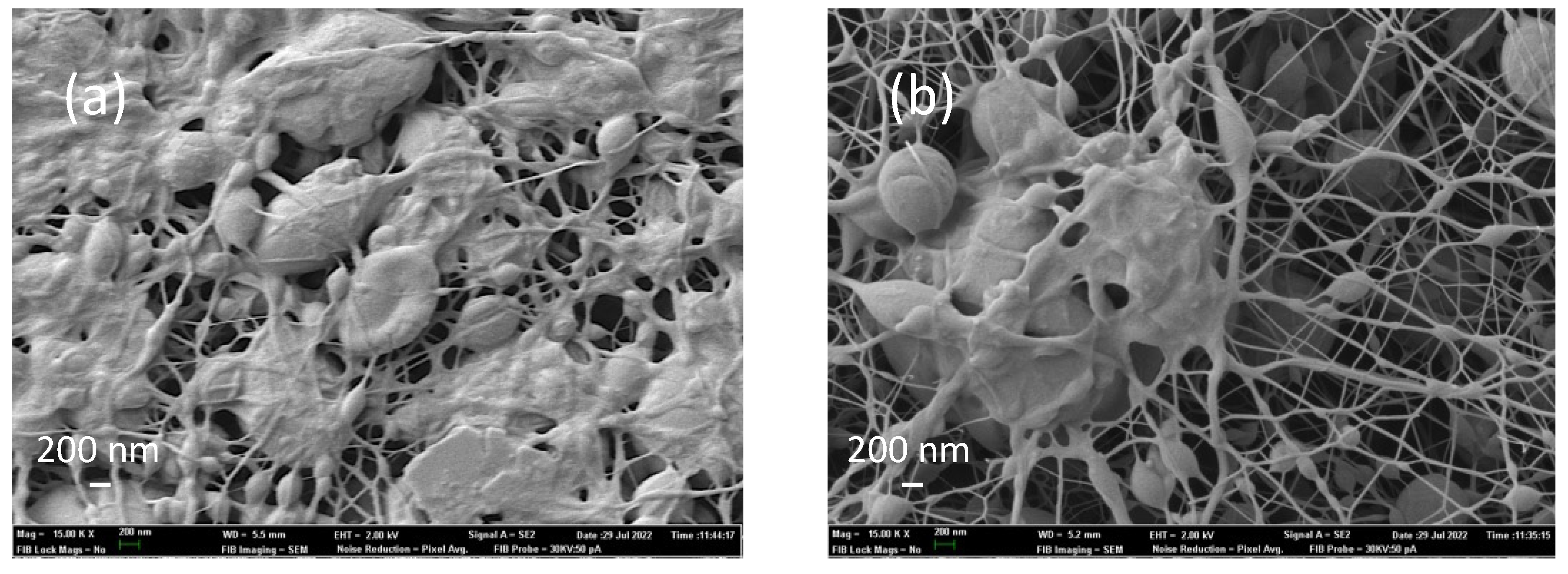 Polymers 14 05242 g010 Polymers 14 05242 g010