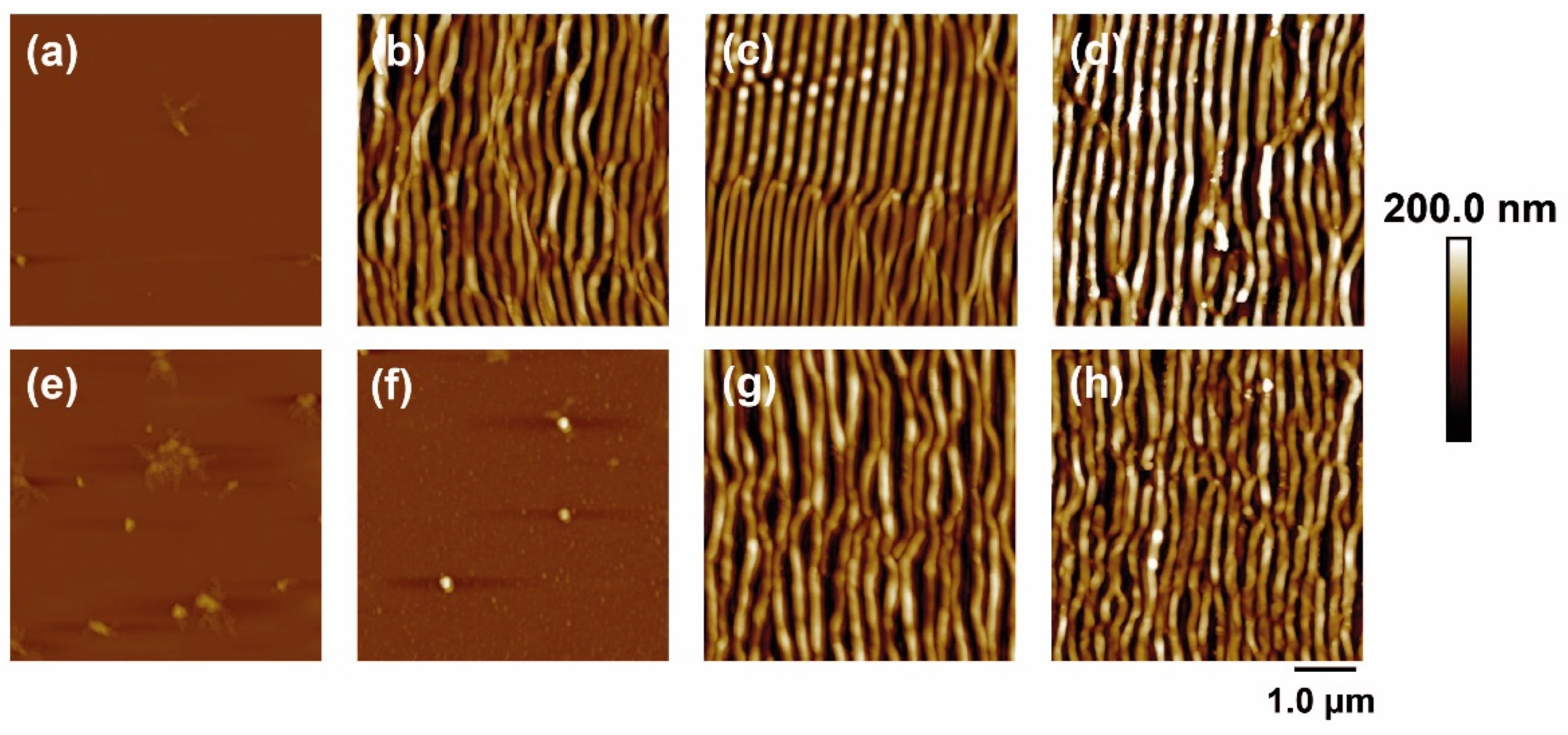 Polymers 14 05243 g001 Polymers 14 05243 g001