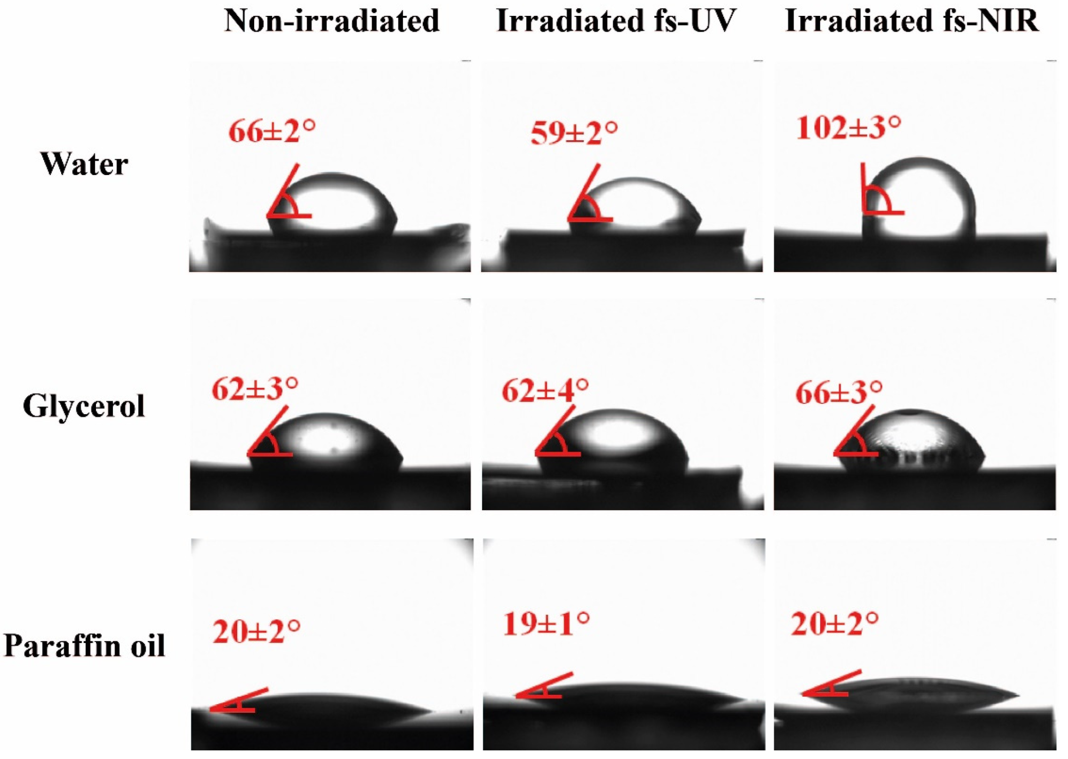 Polymers 14 05243 g005 Polymers 14 05243 g005