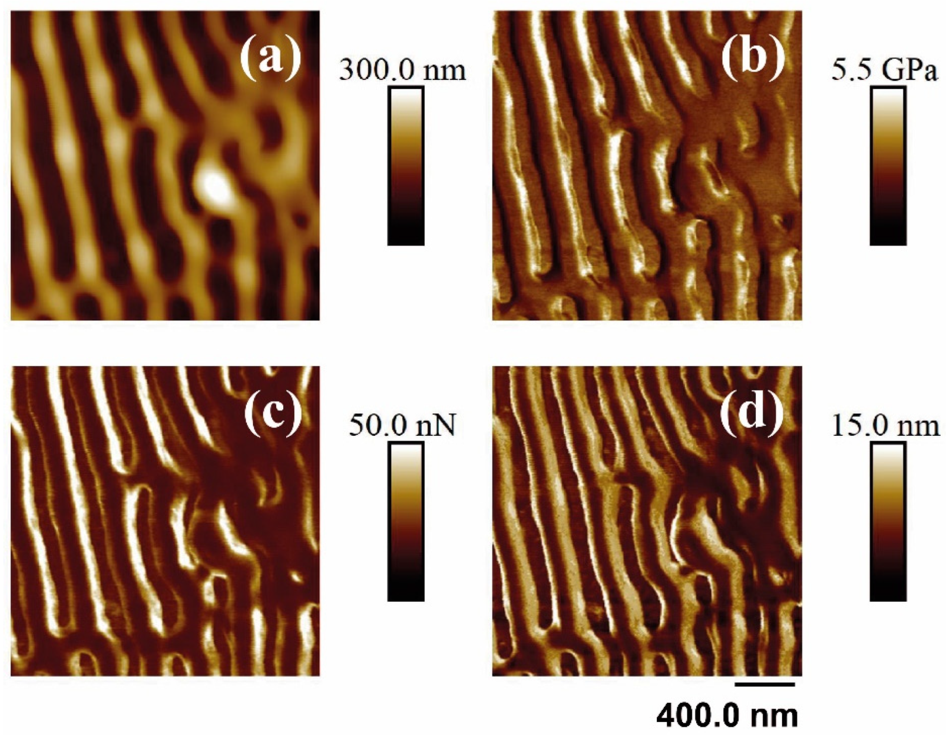 Polymers 14 05243 g008 Polymers 14 05243 g008