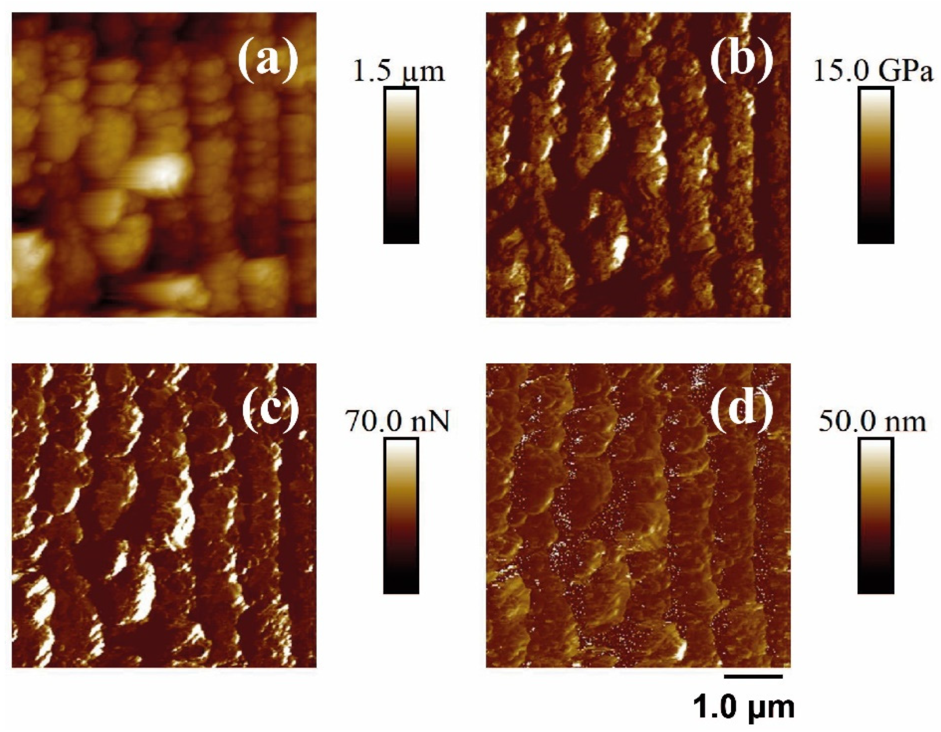 Polymers 14 05243 g009 Polymers 14 05243 g009