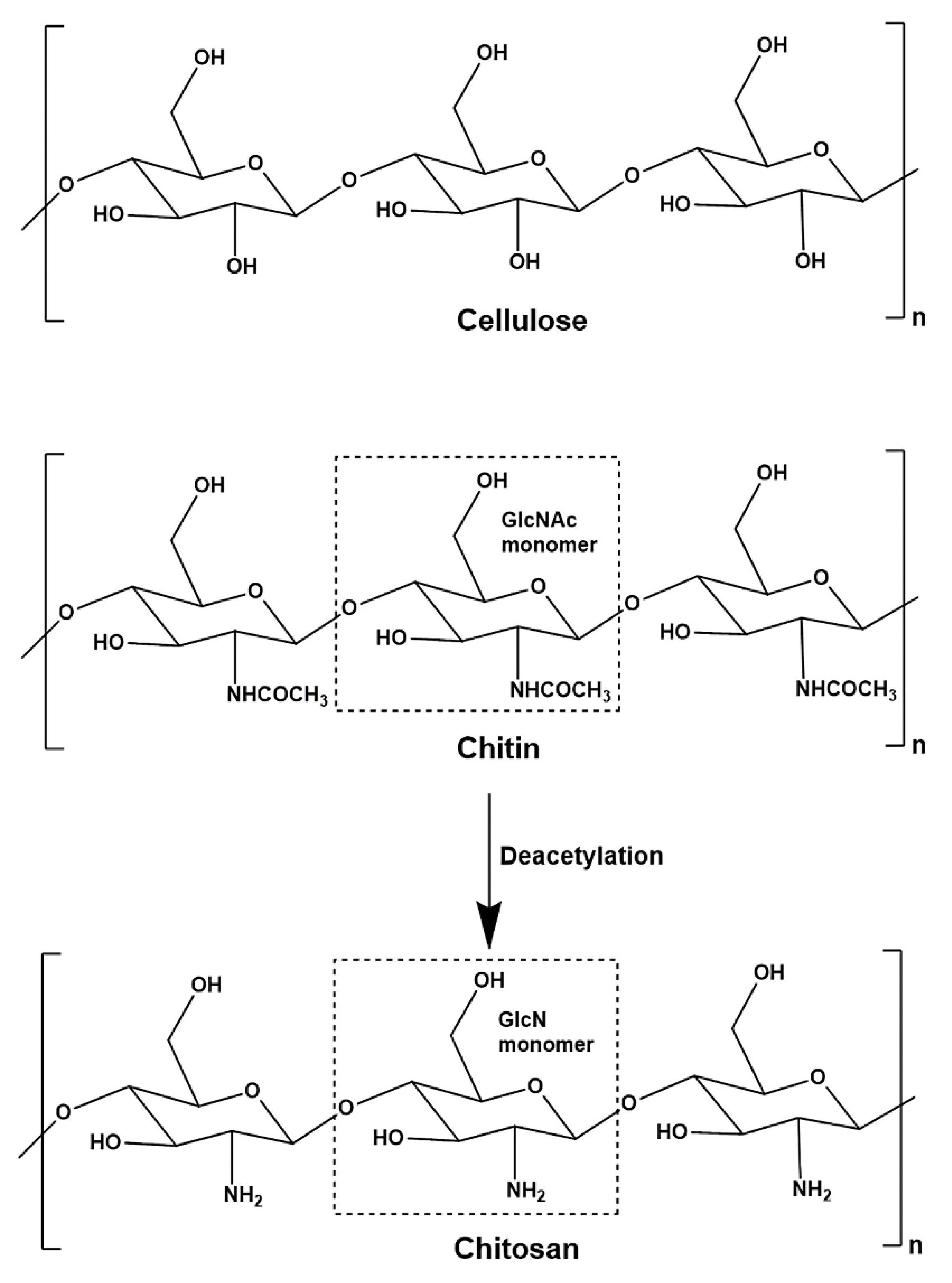 Polymers 14 05244 g002 Polymers 14 05244 g002