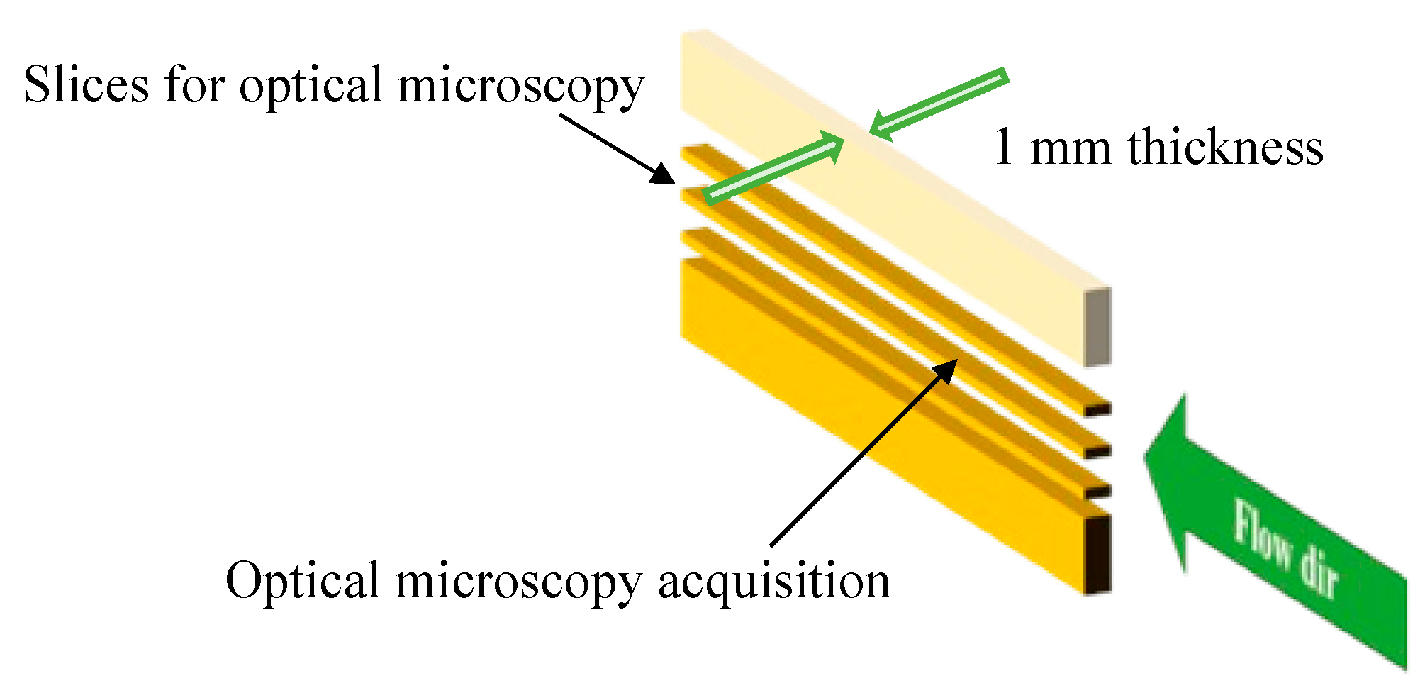 Polymers 14 05245 g002 Polymers 14 05245 g002