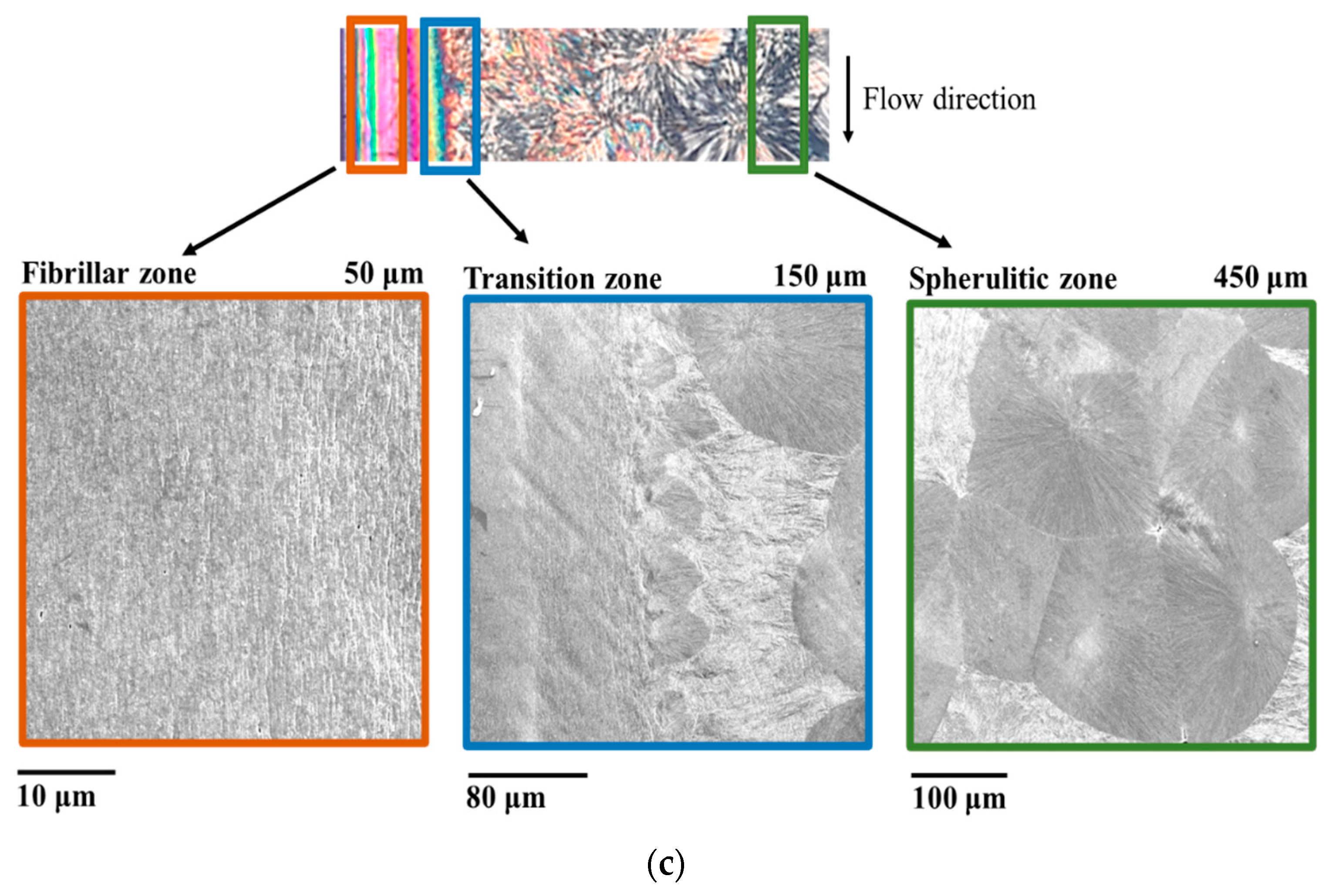 Polymers 14 05245 g004b Polymers 14 05245 g004b