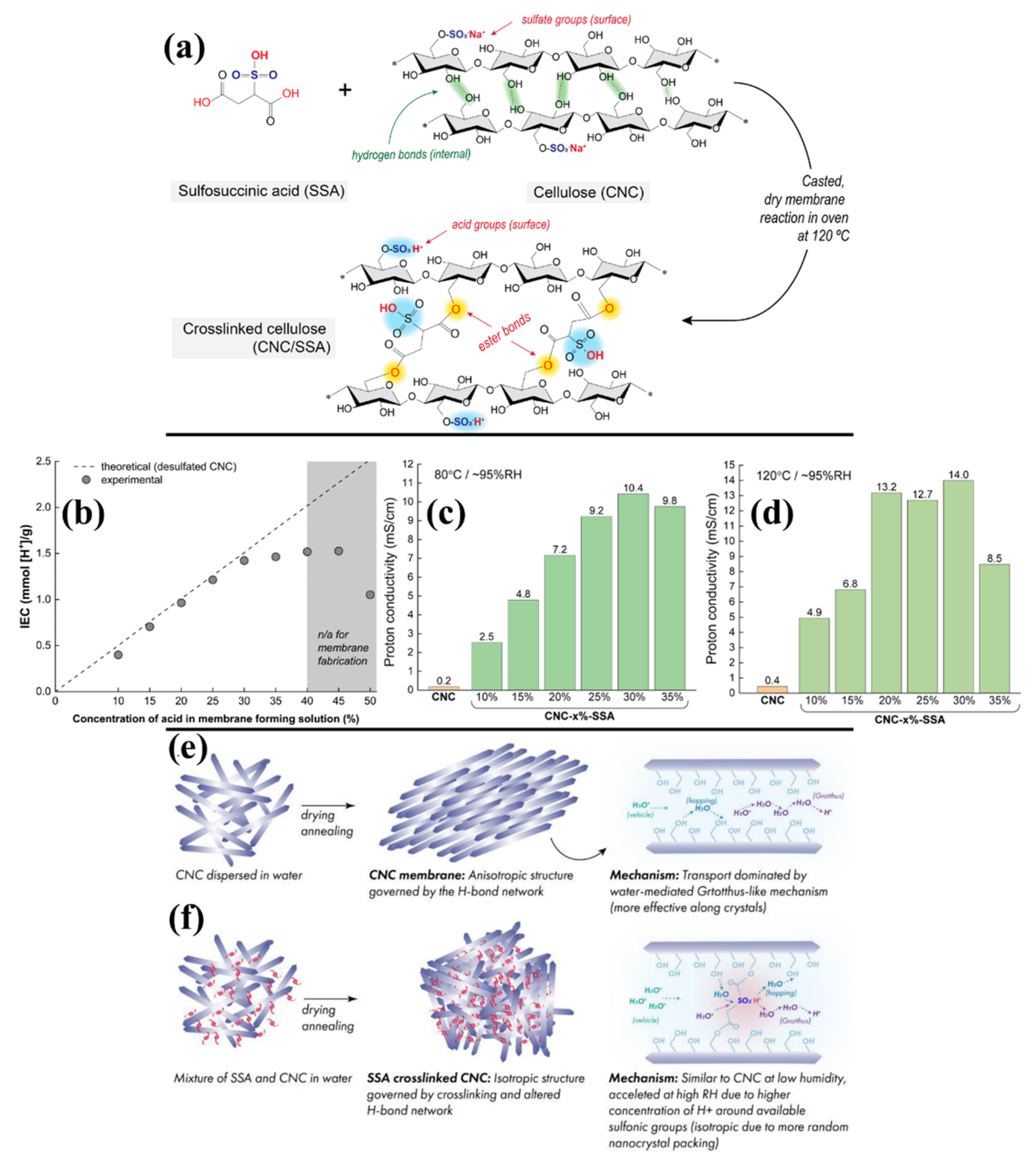 Polymers 14 05248 g004 Polymers 14 05248 g004