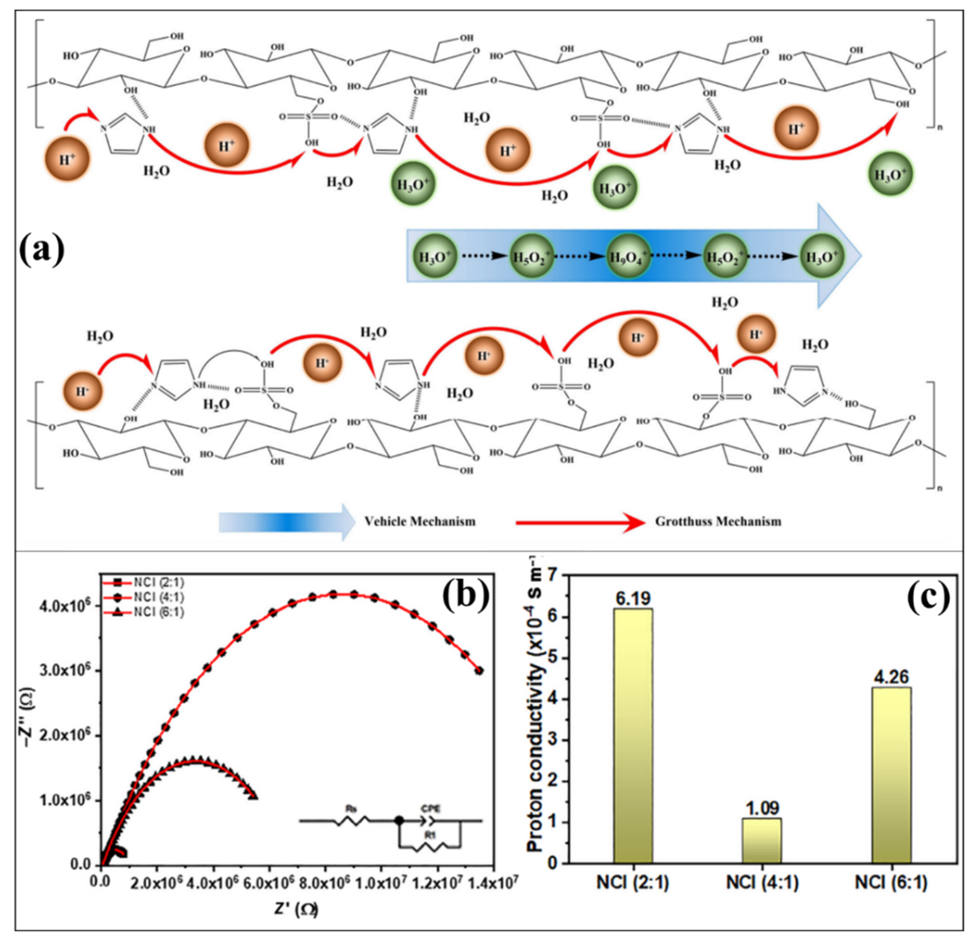 Polymers 14 05248 g005 Polymers 14 05248 g005
