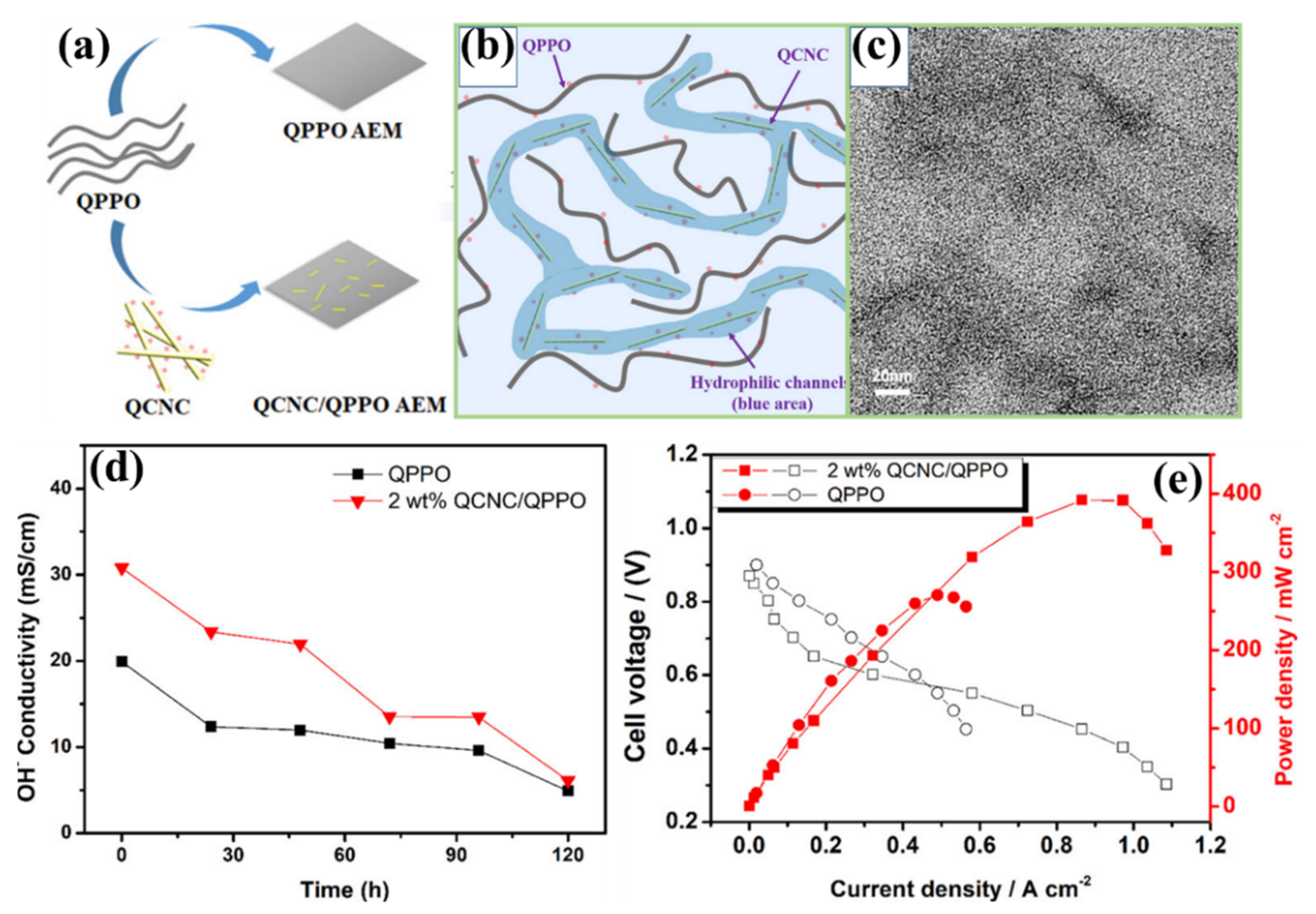 Polymers 14 05248 g011 Polymers 14 05248 g011