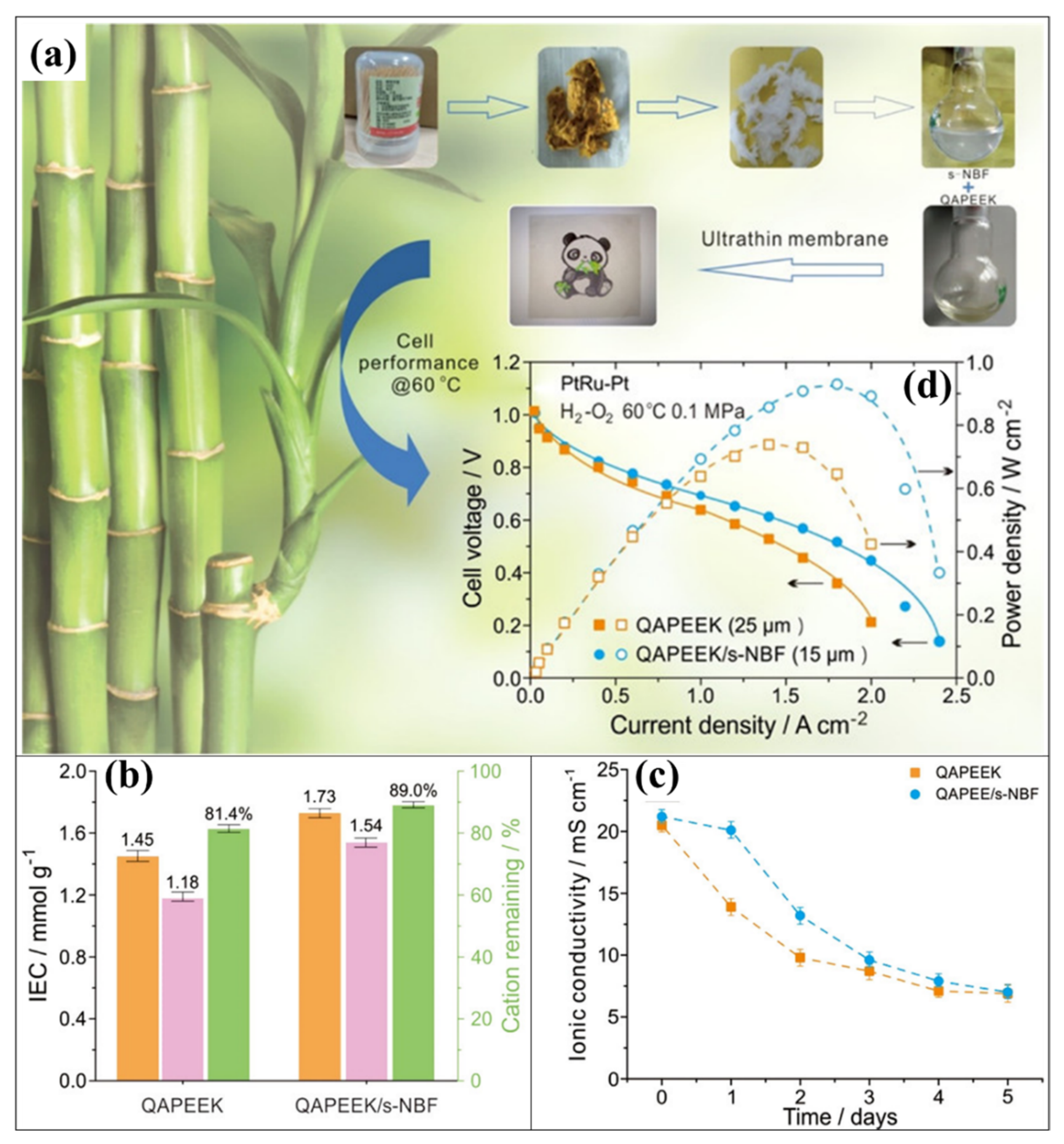 Polymers 14 05248 g012 Polymers 14 05248 g012