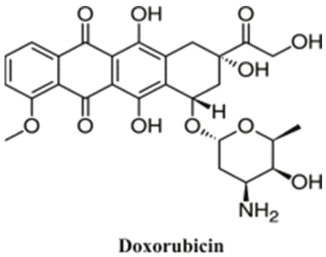 Polymers 14 05249 g001