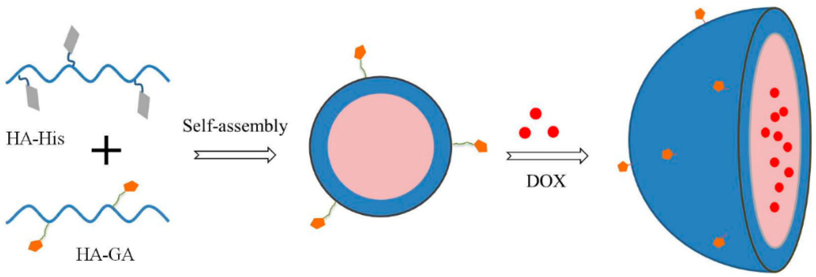 Polymers 14 05249 g004