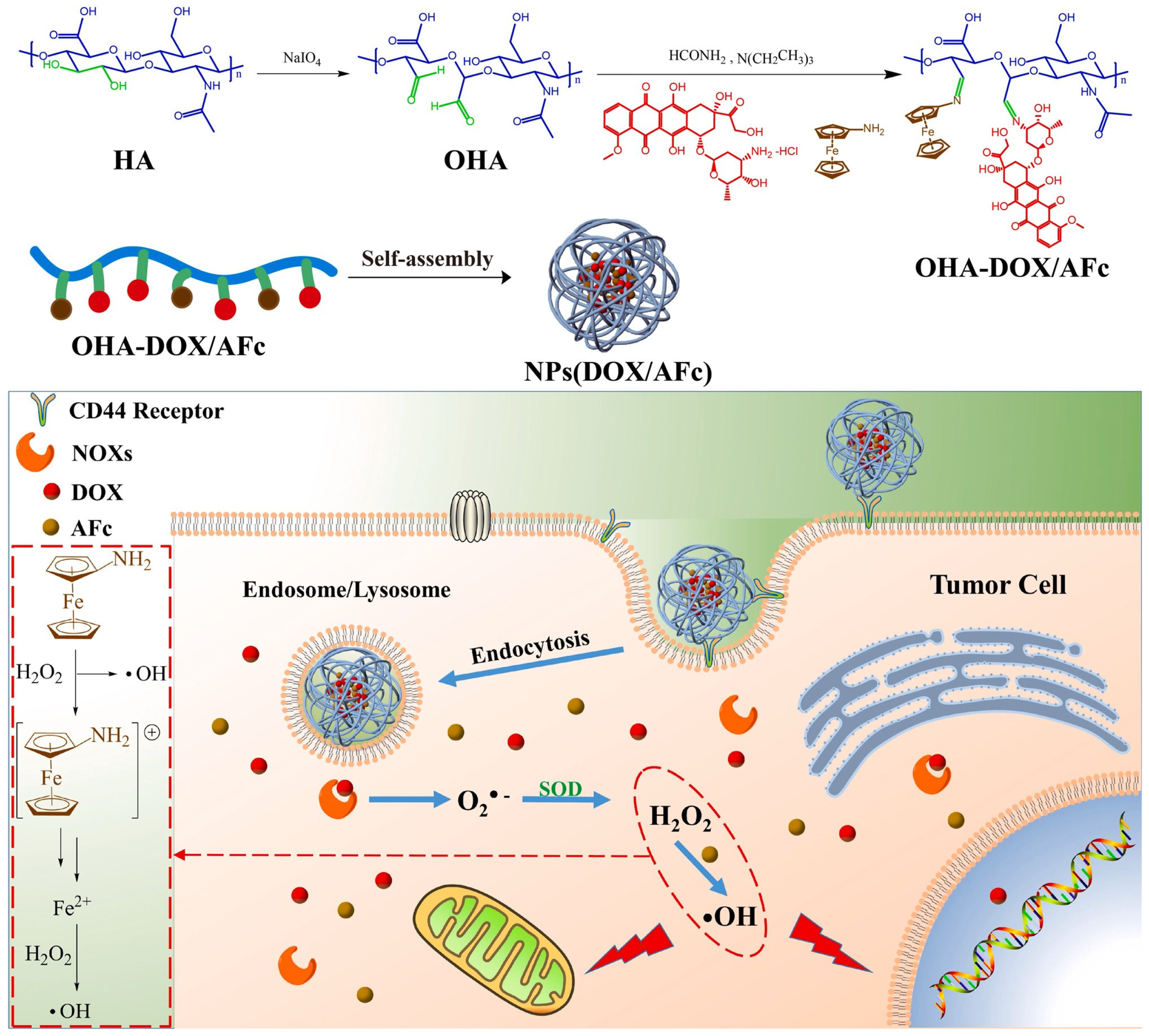 Polymers 14 05249 g005