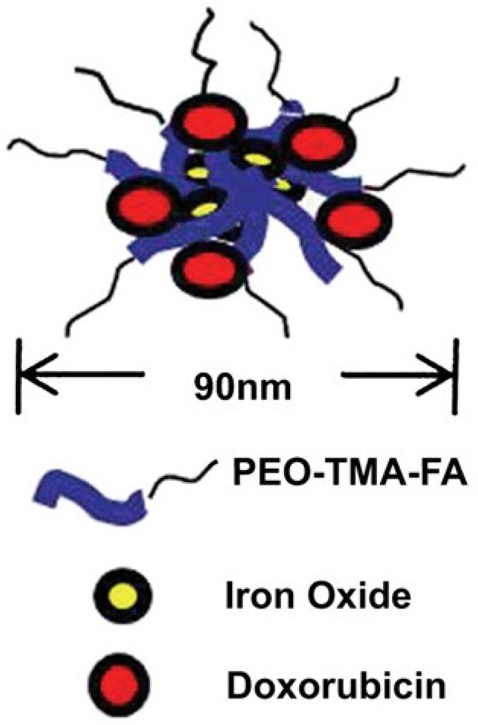 Polymers 14 05249 g011