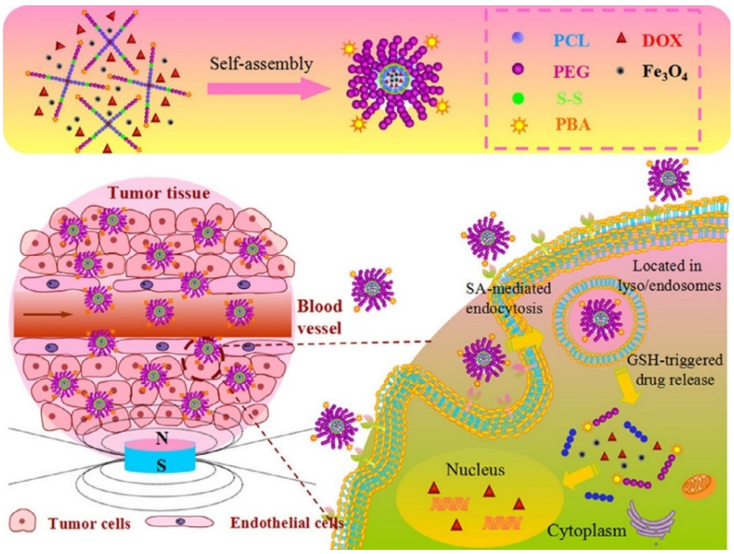 Polymers 14 05249 g012
